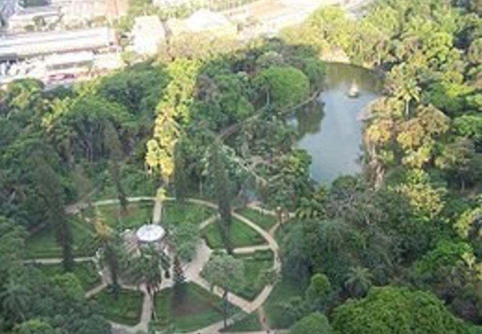 Main parque